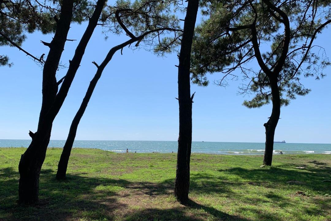 Photo of Outdoor in Grigoleti