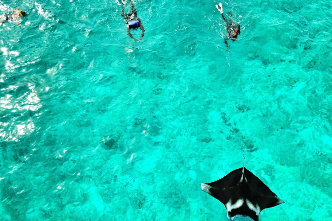 Photo of Others in Dhigurah