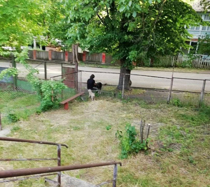 Photo of Others in Manglisi