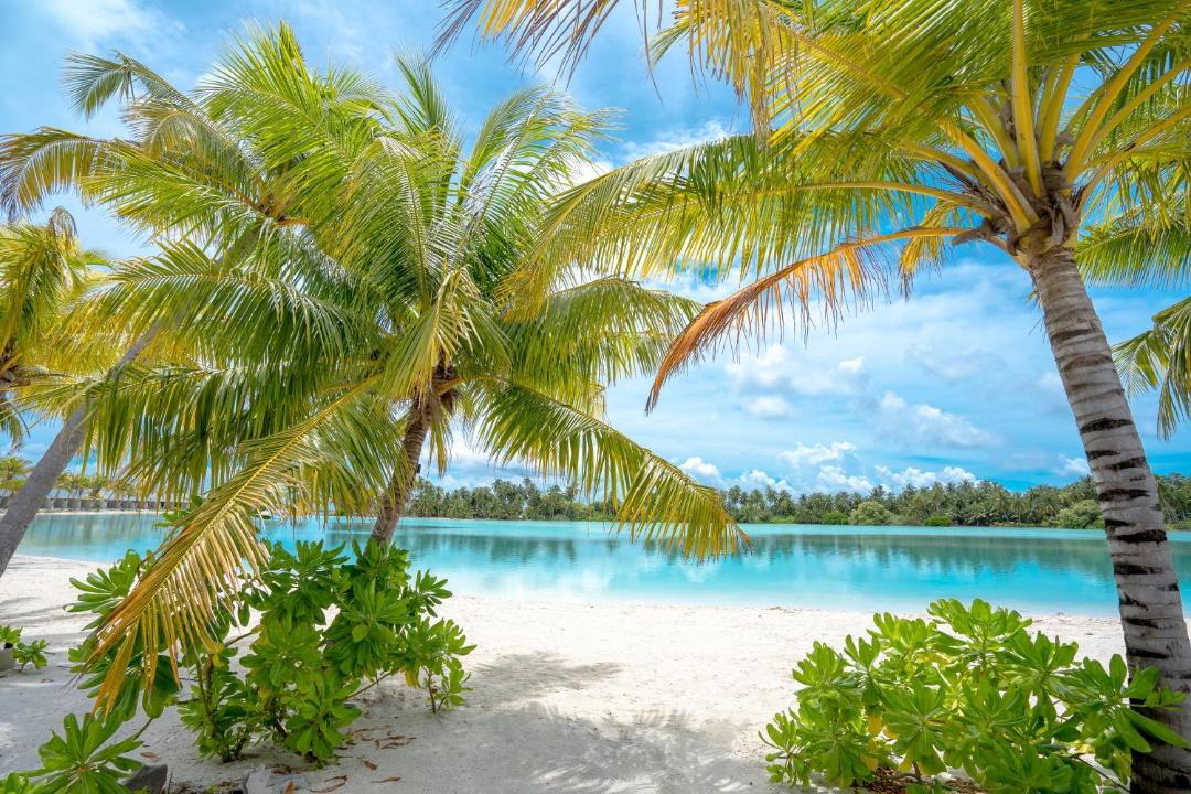 Photo of Others in Laamu Atoll