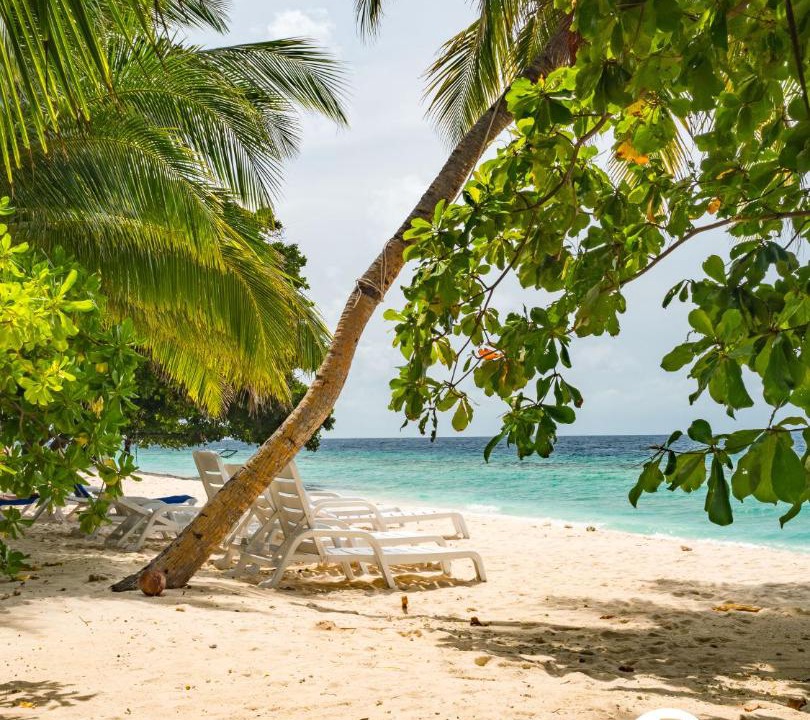 Photo of Others in Dharavandhoo