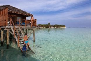 Photo of Others in Vilamendhoo Island