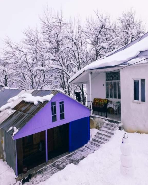 Photo of Others in Tsvirmi