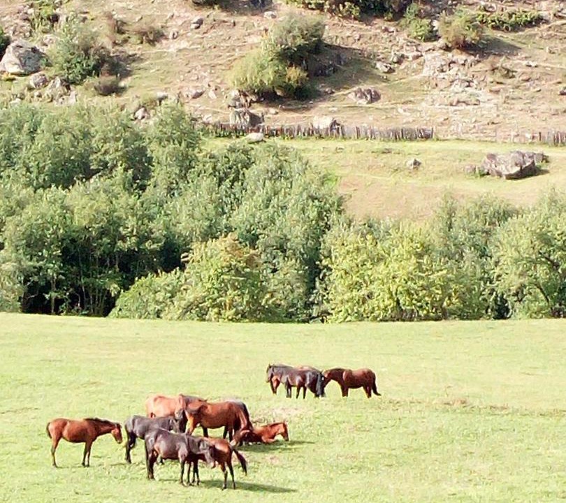 Photo of Others in Lalkhori
