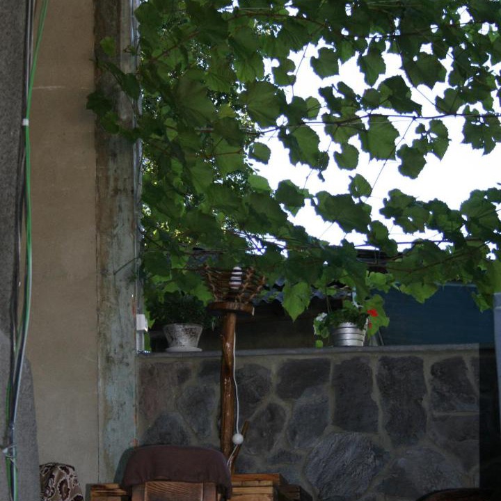 Photo of Others in Borjomi