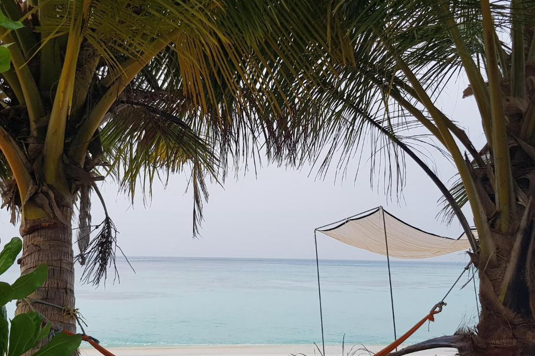 Photo of Others in Felidhoo