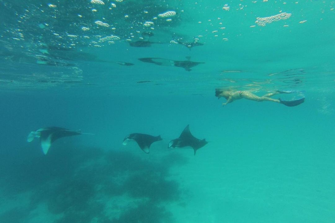 Photo of Others in Ukulhas
