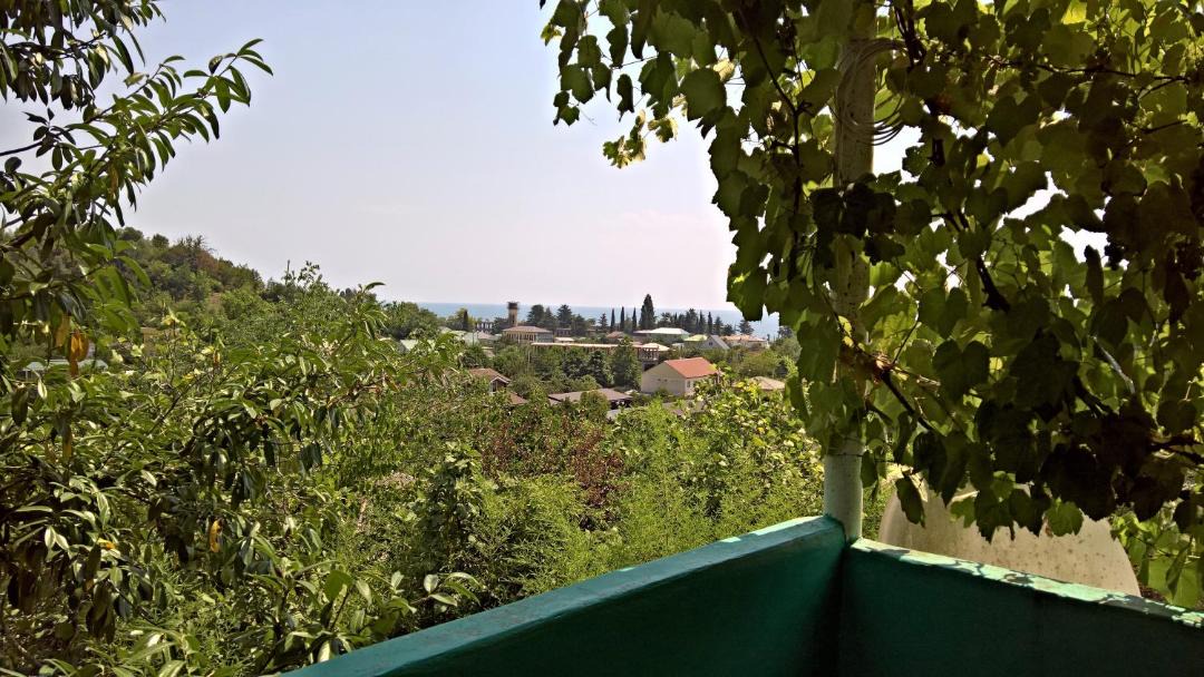 Photo of Others in Lidzava