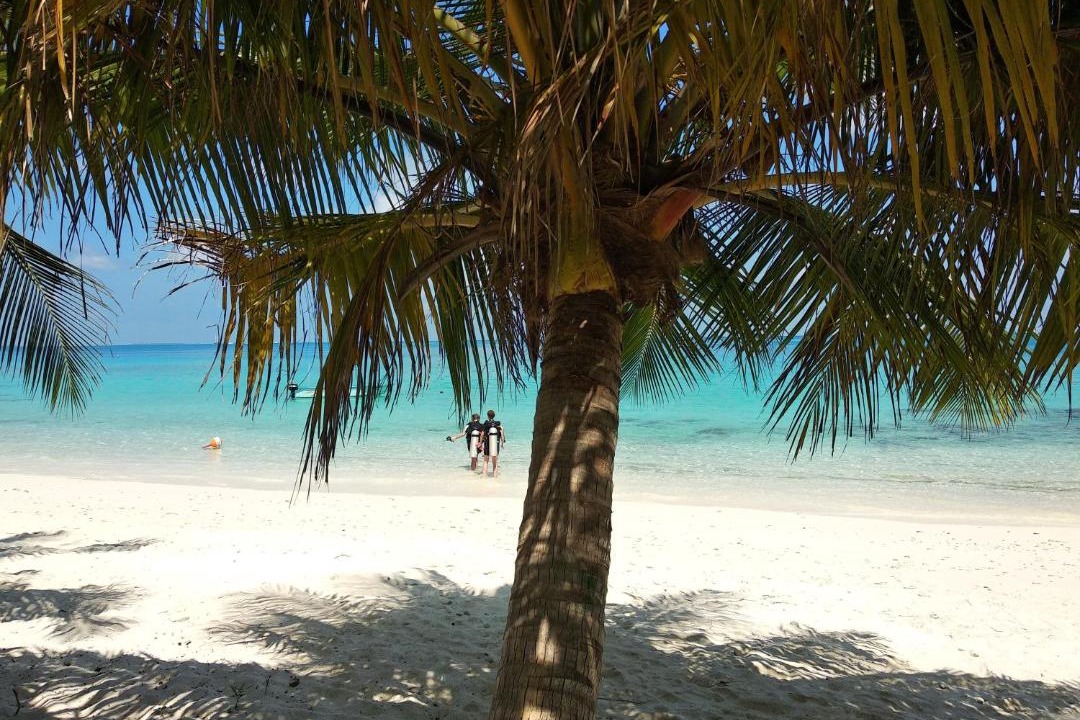 Photo of Others in Dhigurah