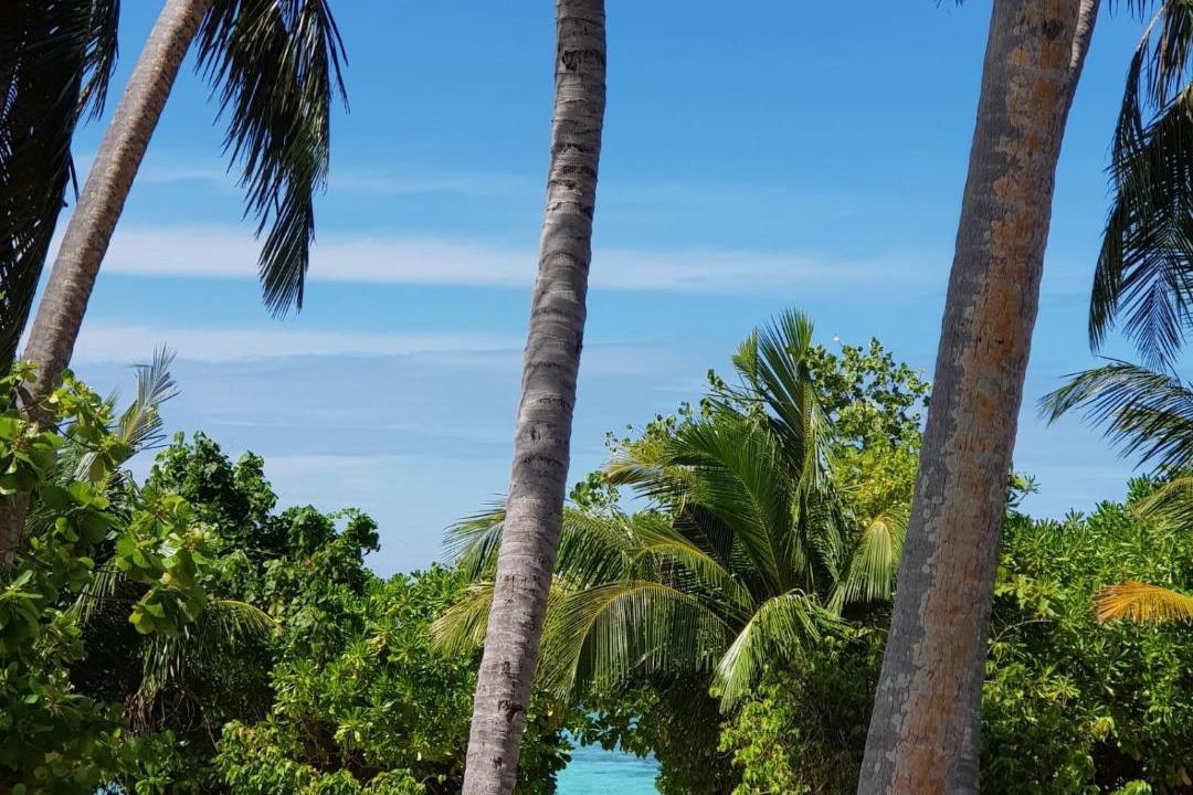 Photo of Others in Felidhoo