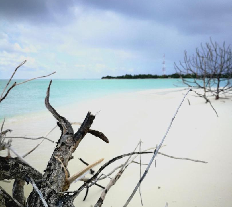 Photo of Others in Thoddoo
