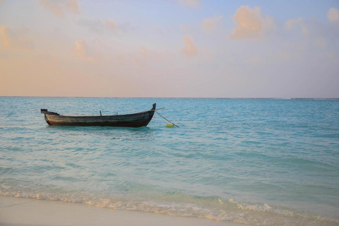 Photo of Others in Thoddoo