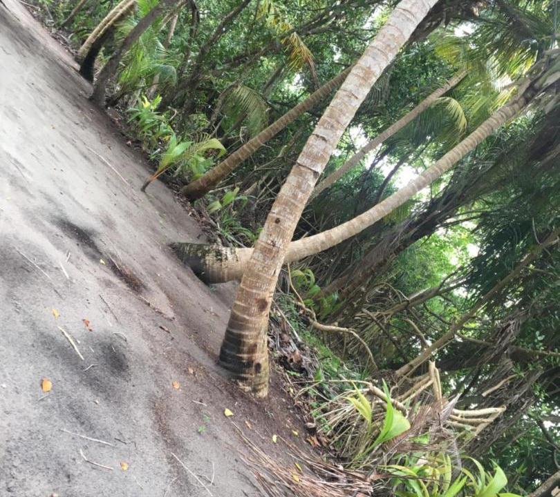 Photo of Outdoor in Thinadhoo