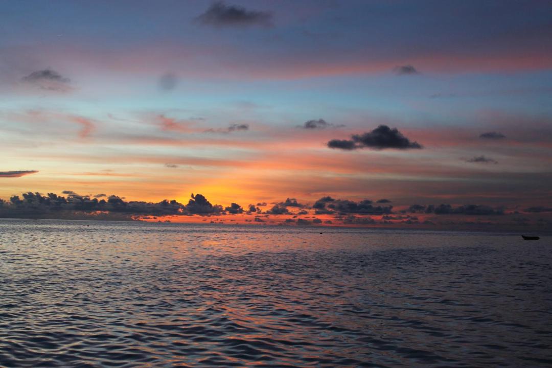 Photo of Others in Thoddoo