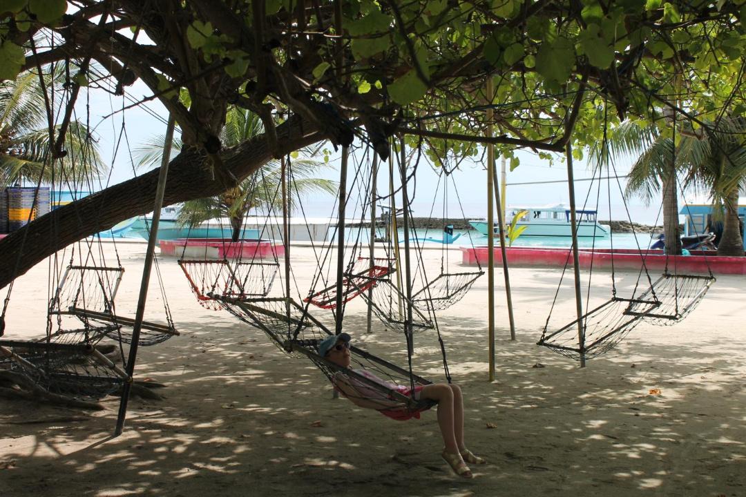 Photo of Others in Thoddoo