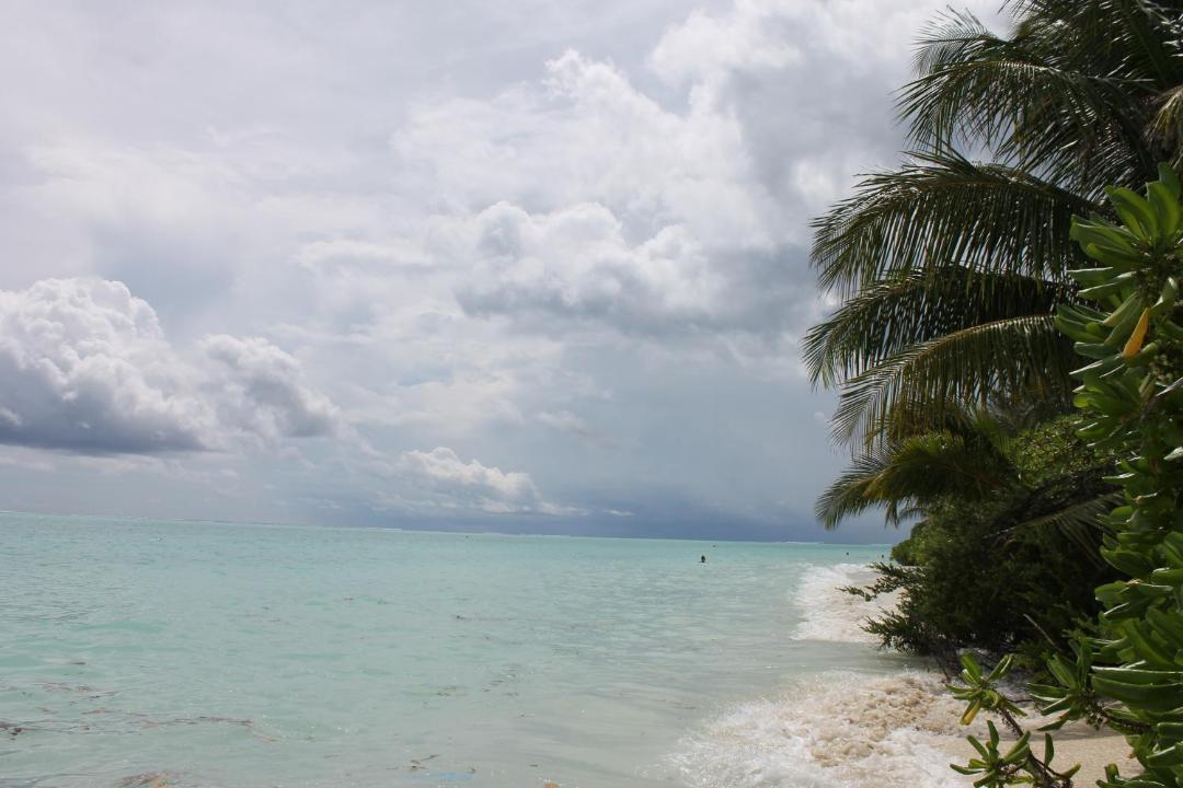 Photo of Others in Thoddoo