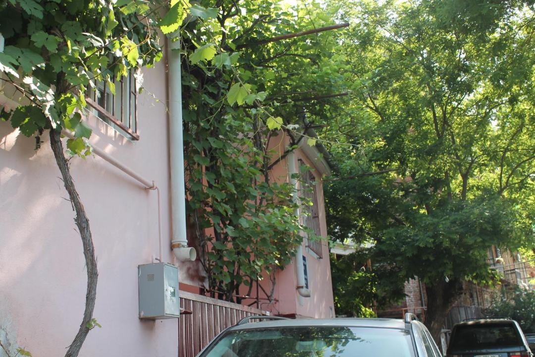 Photo of Others in Sololaki