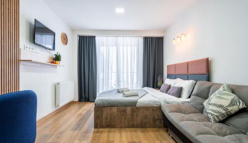 Apartment with Mountain View