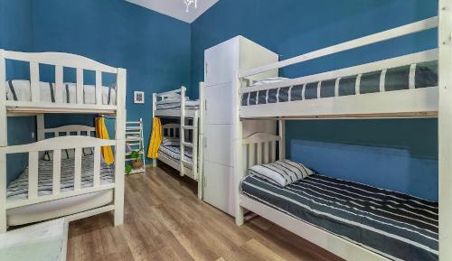 Bed in 6-Bed Mixed Dormitory Room
