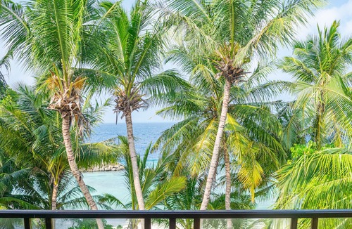 Dharavandhoo House | Luxury and Affordable Beach Holiday in Maldives