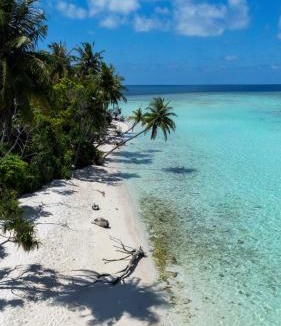 Omadhoo House | Nemo Maldives
