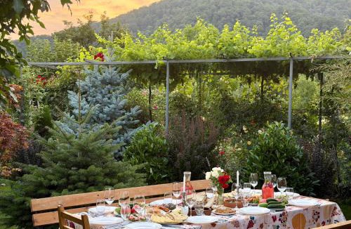 Lagodekhi House | Guest House Gardenia & Wine Cellar