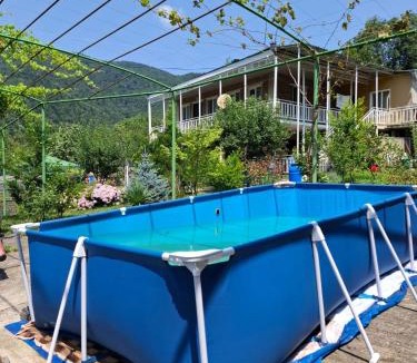 Akhaldaba House | Villa Borjomi