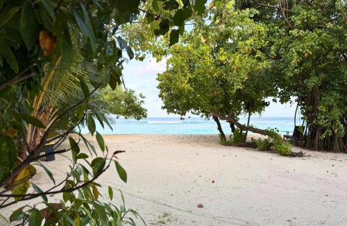 Rasdhoo House | Arena Blanca
