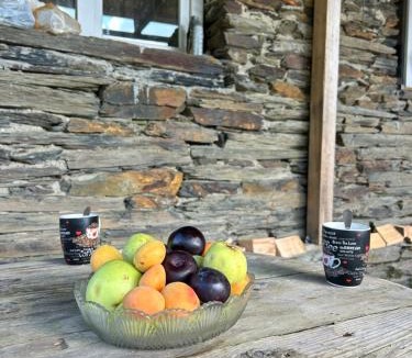 Ushguli House | Guesthouse Lika