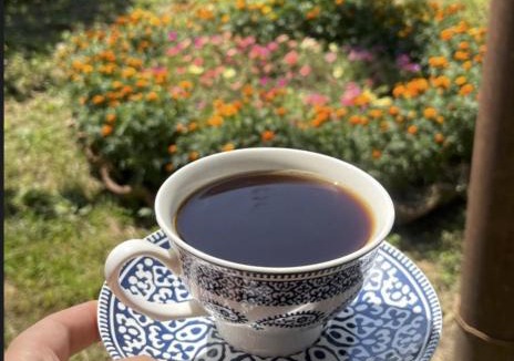 Vedzebi Bed & Breakfast | Nia's Guesthouse