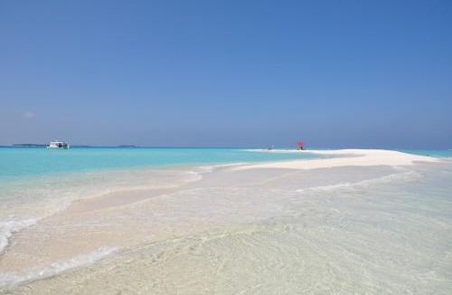 Dharavandhoo Hotel | LVIS blancura Hotel