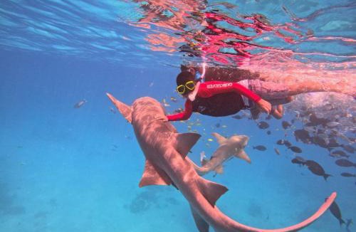 Kudahuvadhoo Hotel | Oceana Surf Maldives - Kudahuvadhoo Island Surf Retreat
