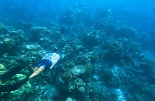 Kudahuvadhoo Hotel | Oceana Surf Maldives - Kudahuvadhoo Island Surf Retreat