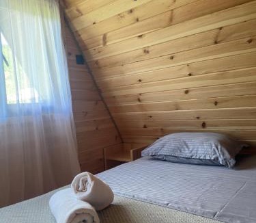 Bagvdanari Ski Chalet | Hill Villy Chalet Mestia
