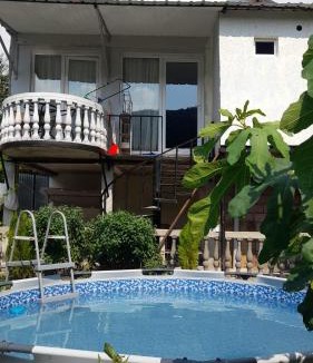 Borjomi Apartment | Villa Sani