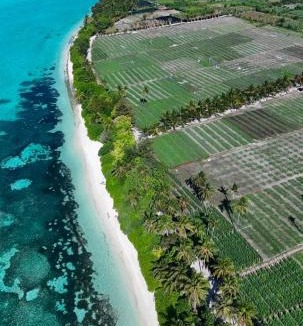 Thoddoo Hotel | Ocean Vida Maldivas