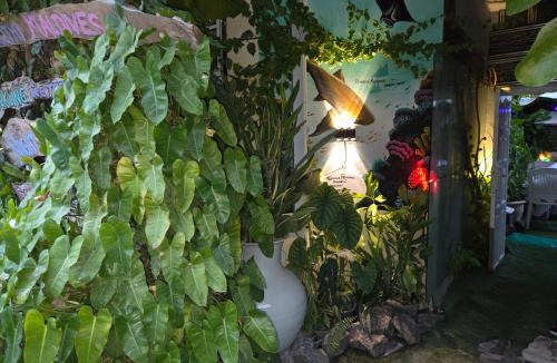 Dhangethi House | FEHIVILLA RESIDENCE inn