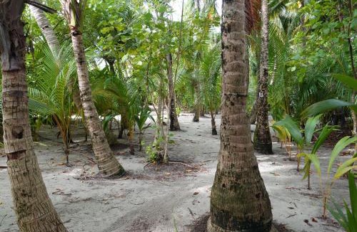 Thinadhoo House | Stay Kora