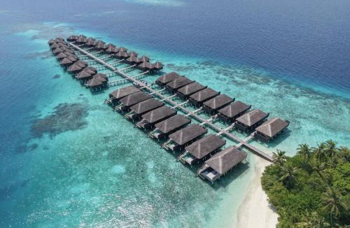 Bodu Hithi Resort | Coco Bodu Hithi - Stay 4 nights or more and enjoy 30 percent off Shared Roundtrip Speedboat, valid for stays until 31st August 2026
