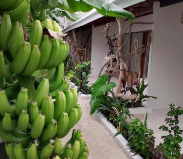 Thoddoo House | Veli garden thoddoo
