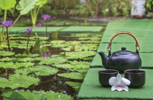 Helengeli Resort | OBLU NATURE Helengeli-All-Inclusive with free Transfers