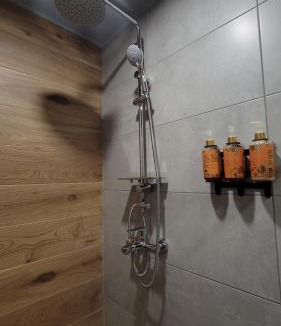 Bagvdanari Hotel | Hotel Ushba in Mestia