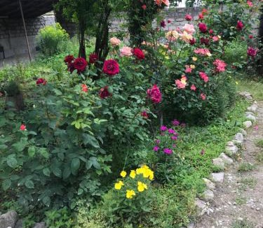 Vedzebi Apartment | Guesthouse "KISTAURI"