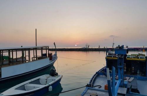 Thinadhoo House | Oyster Residence
