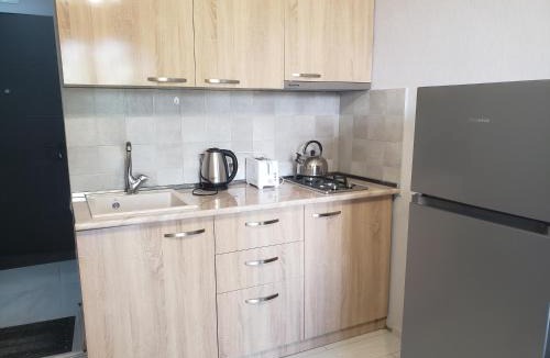 Bakuriani Apartment | Premium apartment in hotel-type residential comple, reservation a room for at least three days