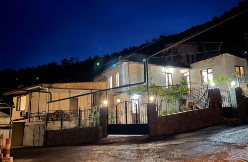 Borjomi Apartment | Luxury Apartment at Pirosmani 22 in central Borjomi