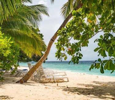Dharavandhoo Hotel | LVIS blancura Hotel