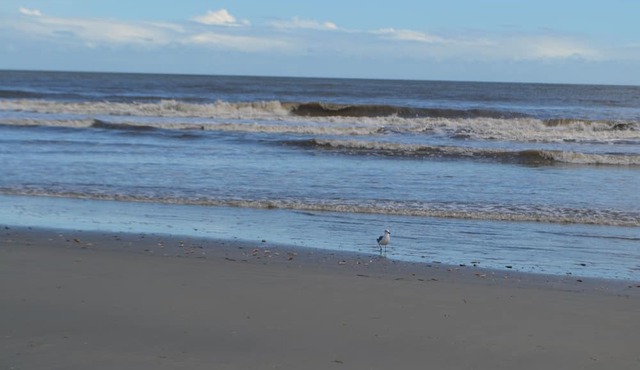 Easy Breezy 2 Bd, 1st Floor, 4 Min to Beach in Isle of Palms