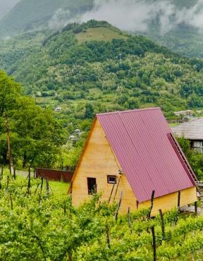 ჰარმონია Harmony Cottage in Ambrolauri